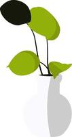 Potted Plant with Green Leaves in White Vase vector