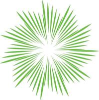 a green sunburst on a white background vector
