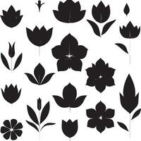 black and white flowers and leaves set vector