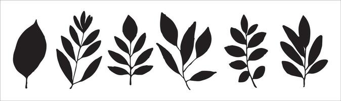 a set of leaves silhouettes on a white background vector