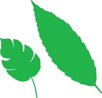 two green leaves are shown on a white background vector