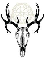 Sketch Illustration of a deer skull with boho pattern. Vintage hand-drawn graphic of deer. element for tattoo sketch, printing on T-shirts, postcards vector