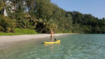 Aerial view of woman paddleboarding on crystal-clear turquoise water on lush tropical beach with palm trees on paradise island in Thailand. Concept of freedom, adventure, and summer travel. video