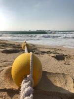 Small yellow buoy on a beach in Dubai at day with sky photo