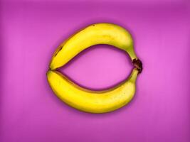 Two bright yellow bananas create a circle, top view, centered in the image photo