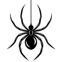 spider hanging from web minimalist spider vector