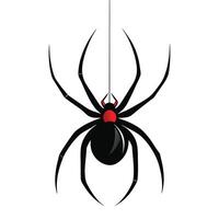 Creepy black widow spider on a web, an isolated arachnid of nature, perfect for a scary illustration vector