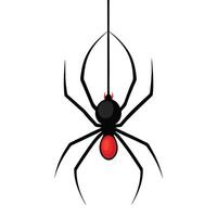 Creepy black widow spider on a web, an isolated arachnid of nature, perfect for a scary Halloween illustration vector