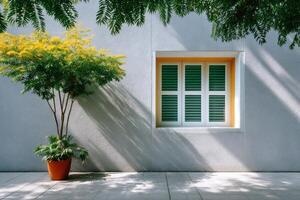 Yellow flowering tree near window with green shutters casting shadows on gray wall photo