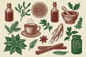 Hand sketched illustration featuring an assortment of herbal Christmas remedies elements vector