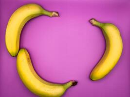 Background of three bright yellow bananas lying on the edges of the image on a purple background, top view photo