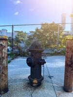 Old black Fire Hydrant with sun, NY, USA photo