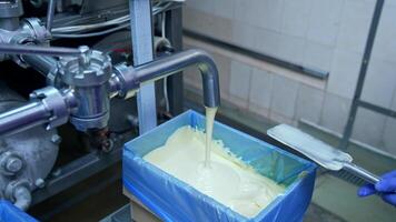Liquid butter is pouring from the pipe into the container. Factory for the production of butter. Automated line. Food production. video