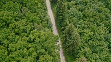 Blue car moving on a road in summer. Driving of a modern automobile along the road in the forest. Electric car without any harm to nature. Aerial orbital view. video