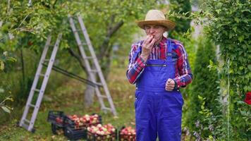 Full-length portrait of a farmer with an apple. Gardener in blue overalls and straw hat standing in his garden and flavouring delicious organic fruit. video