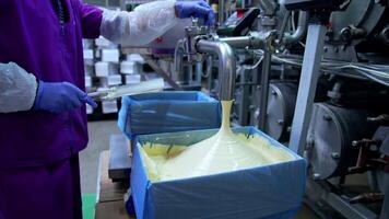Making butter on a dairy factory. Industrial equipment at milk factory. Worker on a dairy production plant. Fresh smooth butter pouring from pipe into a box. video