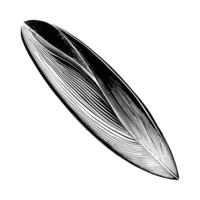 Surfboard sketch silhouette vector