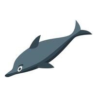 Dolphin swimming underwater in the ocean depths vector