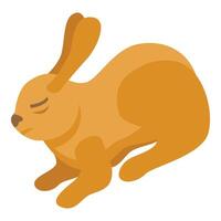 Cute brown rabbit lying down, isometric view of bunny relaxing vector