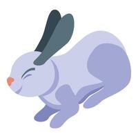 Running purple rabbit illustration with grey ears in isometric view vector