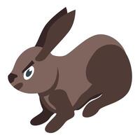 Brown rabbit running fast with angry expression vector