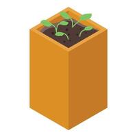 Seedlings growing in a square pot, isometric view vector