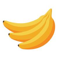 Bunch of bananas creating a vibrant tropical display vector