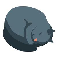Sleeping grey cat curled up taking a nap vector