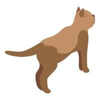 Brown cat standing on hind legs and looking up isometric view vector