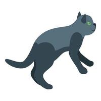 Playful gray cat jumping and having fun vector