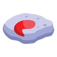 Blood drop forming on leukocyte surface, immune system defense vector