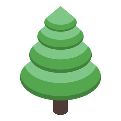 Green stylized christmas tree growing in isometric view