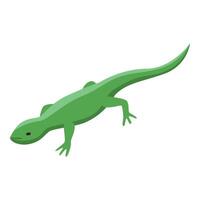 Green lizard crawling, isometric reptile illustration vector