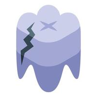 Damaged tooth showing crack and cross shaped fracture lines vector