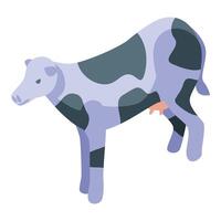 Spotted dairy cow standing in isometric view vector