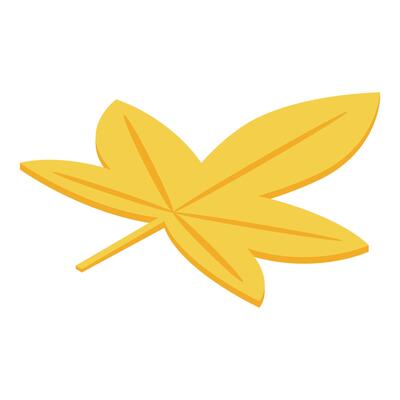 Yellow autumn leaf falling down on white background