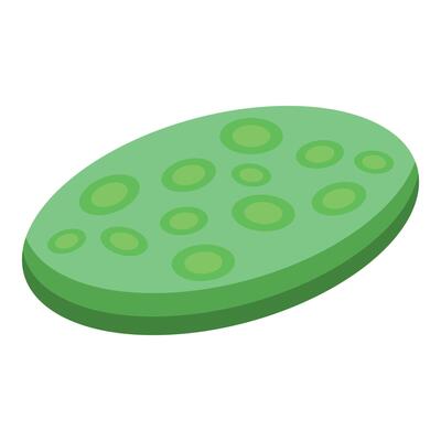 Green oval object showing an irregular surface with circular protrusions