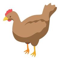 Brown hen standing, isometric farm bird illustration vector