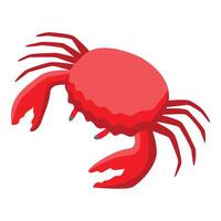 Red crab showing claws and legs on white background vector