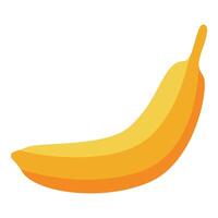 Ripe banana showing its appealing yellow color on white background vector