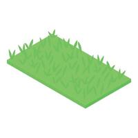 Green grass growing on rectangular patch of land in isometric view vector