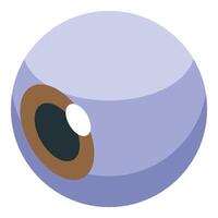 Human eyeball showing iris and pupil, observing and focusing light vector