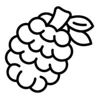 Fresh raspberry fruit with leaves growing on plant vector