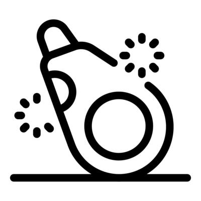Cleaning roller brush removing dust and dirt particles