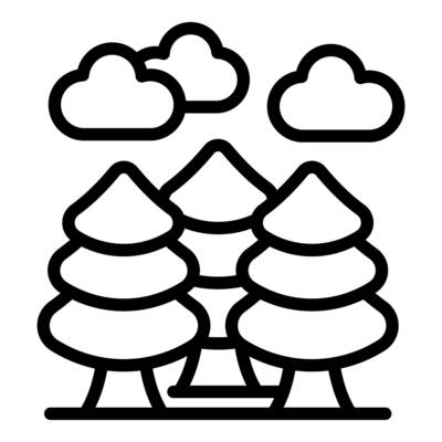 Group of pine trees growing under cloudy sky