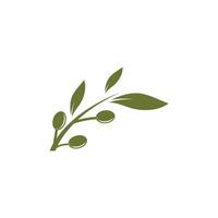 Green olive illustration icon vector