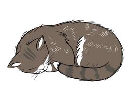 Hand drawn sleeping cat in pastel colors. Sketch style with black outline. Cozy cute kitten illustration vector
