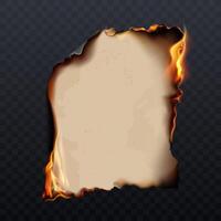 Burned paper Realistic Isolated composition vector