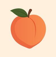 An illustration of a peach on a light background vector