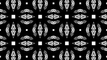 Abstract kaleidoscope black and white oriental ornaments animation background. geometric pattern. video